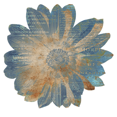 flor azul testimonios