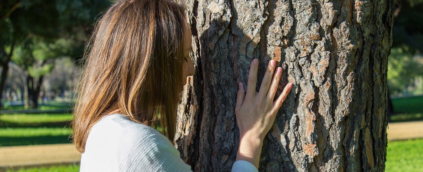 Cabecera Acompañamiento María José árbol