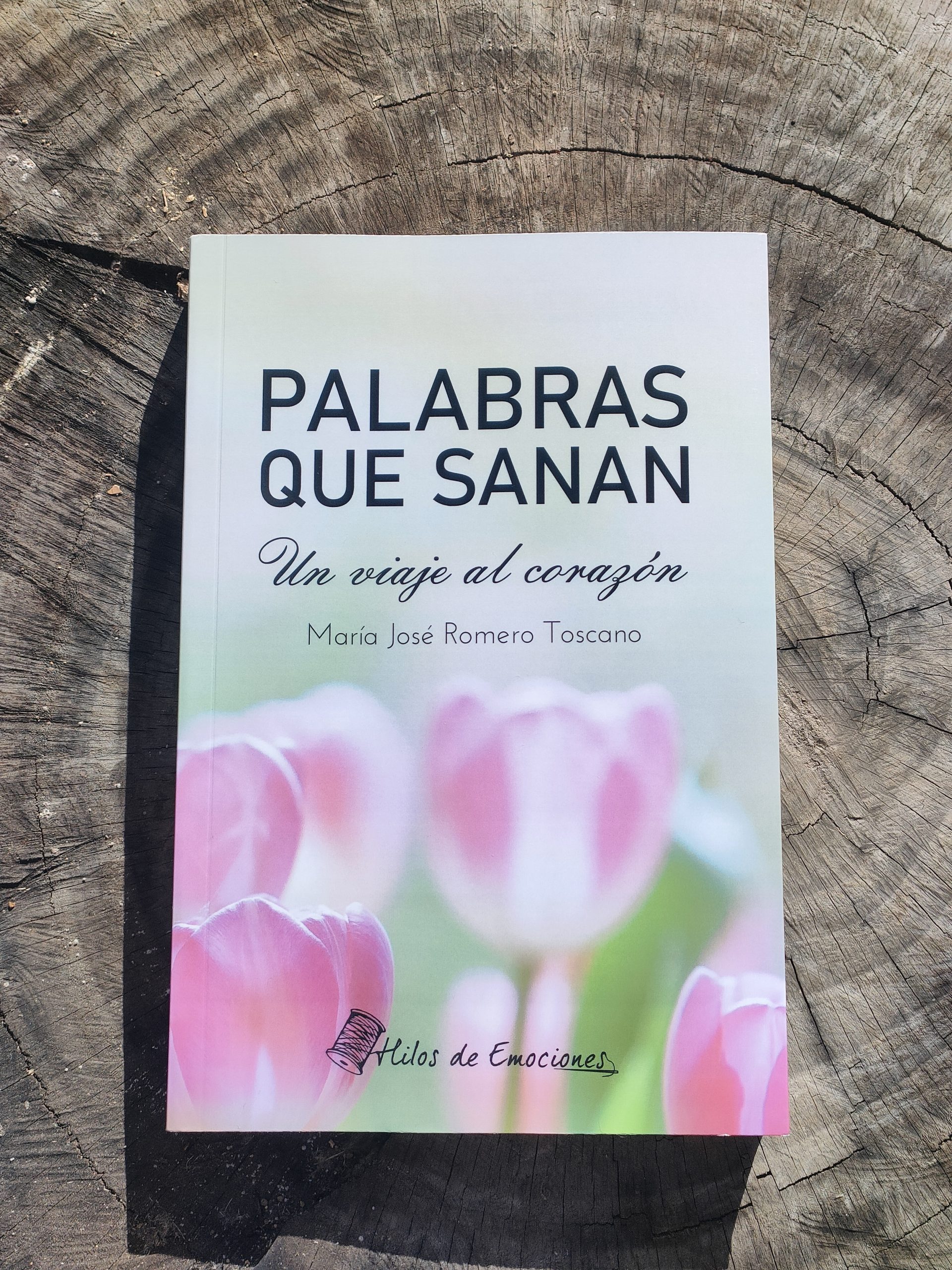 PALABRAS QUE SANAN LIBRO