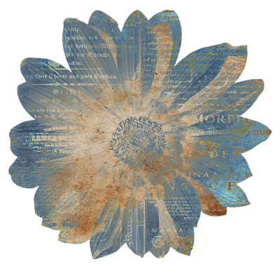 flor azul testimonios